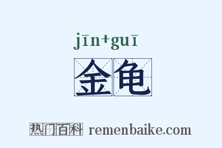 金龟是什么意思的图片